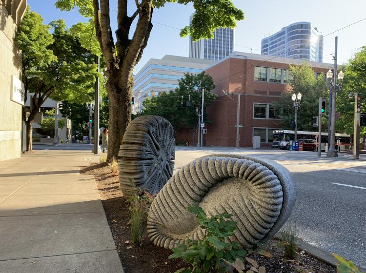 Two granite sculptures sit in the dirt swale between the sidewalk and 6th Avenue. They are shaped like microscopic organisms, with intricate patterns of ridges.