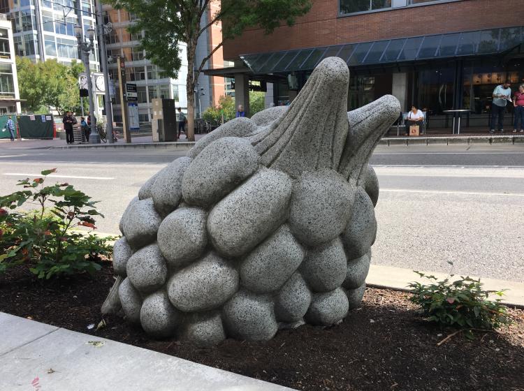 A granite sculpture sits in the dirt swale between the sidewalk and 6th Avenue. It is shaped like a microscopic organism, somewhat resembling the shape of a raspberry.
