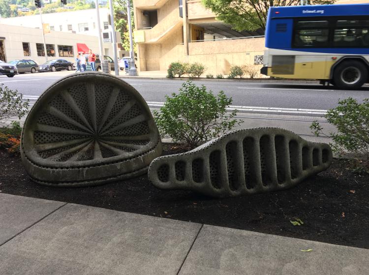 Two granite sculptures sit in the dirt swale between the sidewalk and 6th Avenue. They are shaped like microscopic organisms, with intricate patterns of ridges.
