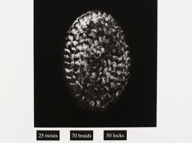 Close-up of the lower portion of the artwork, showing a braid of hair arranged in a spiral. Below this are boxes with white, reading “25 twists,” “70 braids,” and “50 locks.”