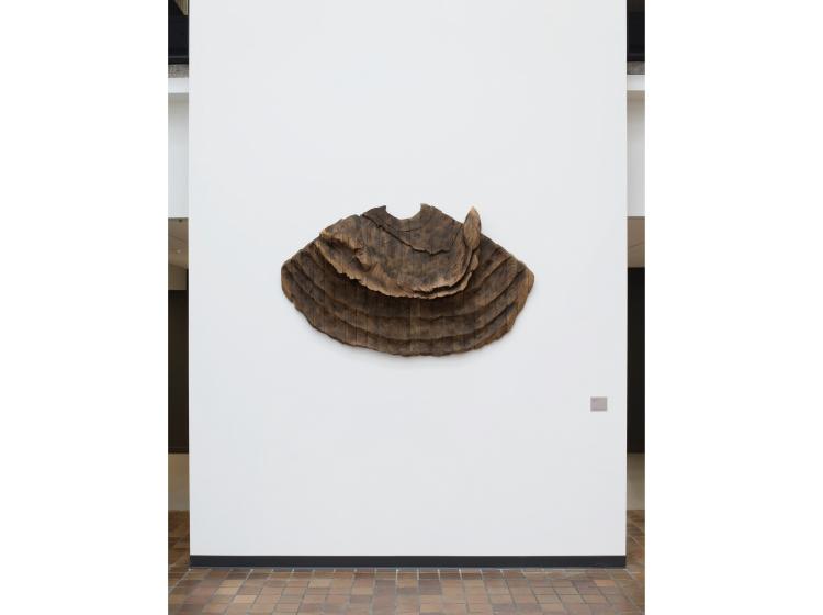 The sculpture is seen mounted on a white section of wall in Fariborz Maseeh Hall