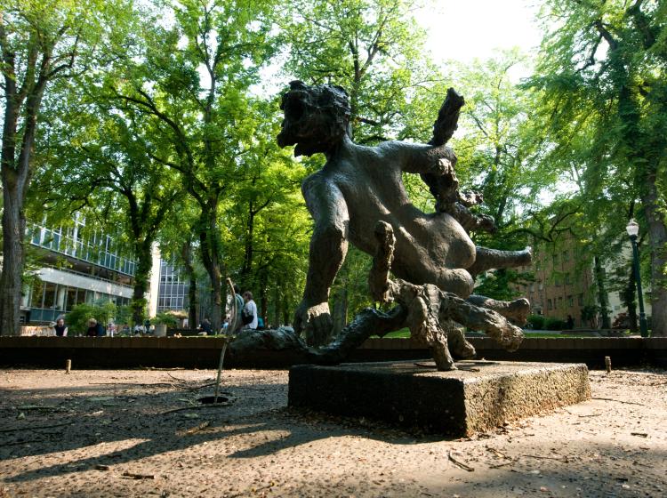 The photo is seen from behind at a dramatic angle, in glowing rays of sunlight.