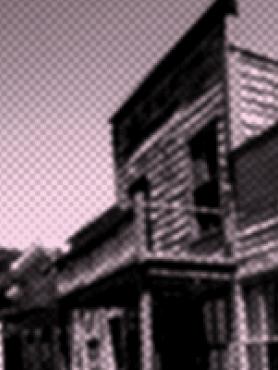Wild west building