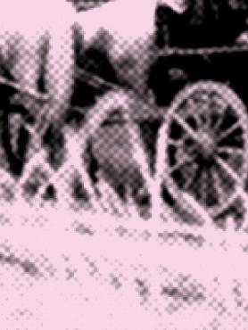 Horse and wagon