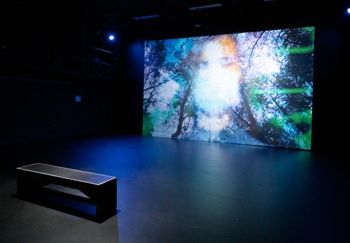 A bench facing a big screen with trees and the blurred face of a person with a mask