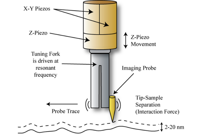 Conceptual drawing of the tuning fork SFM