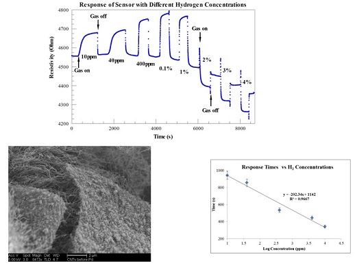 Palladium nanoparticle response to hydrogen concentration shifts