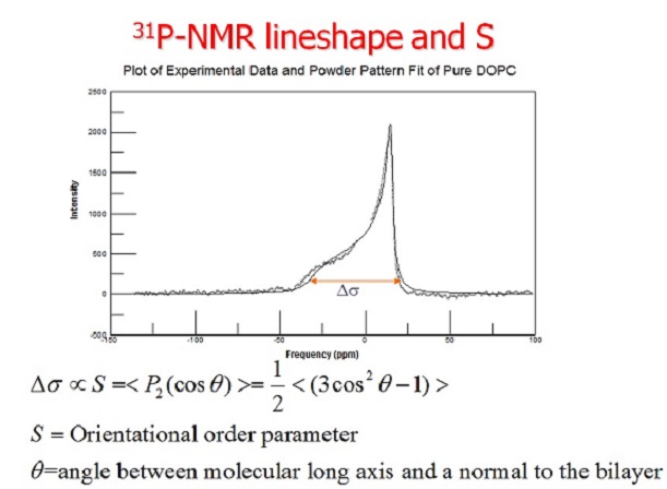 31P-NMR lineshape and S