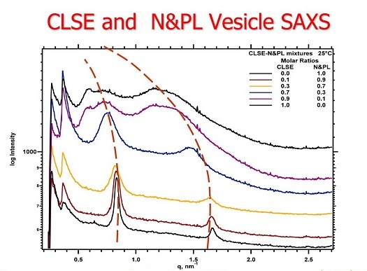 CLSE and N&PL SAXS results plotted