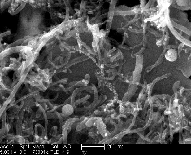 Palladium NPs attached to CNTs