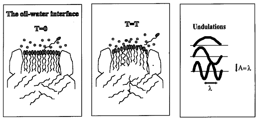 Surfactant phenomena