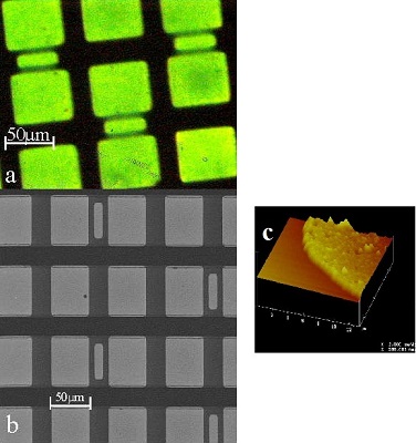 Microscopy and microanalysis of silver nanoparticles