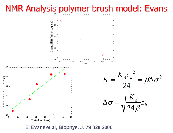 Mathematics of NMR Analysis using polymer brush model