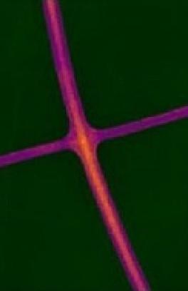 Nanowire Junction