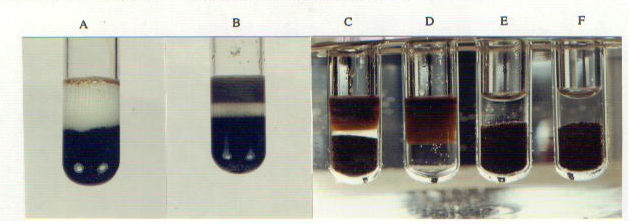 Glass vials of crude Oil extraction using microemulsion