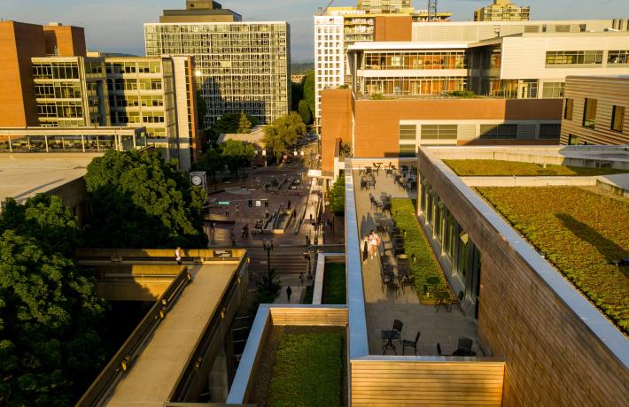 PSU campus at sunset