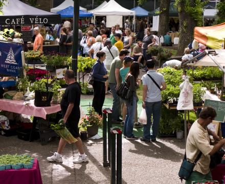 Portland Farmer's Market