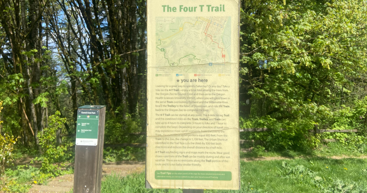 4T