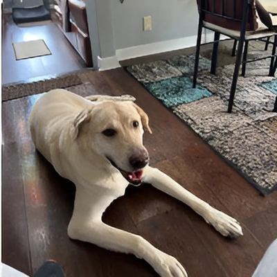 Buster at home