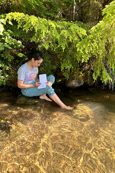 Lujein journaling