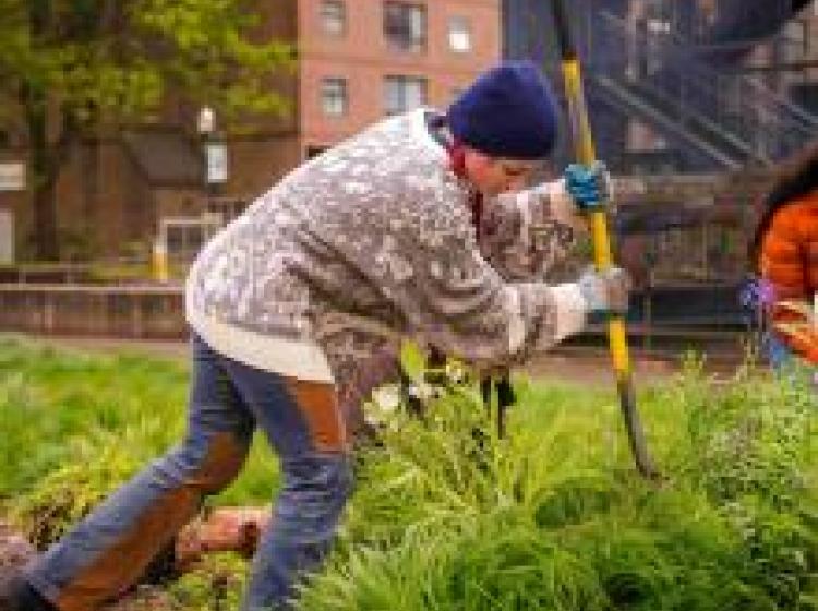 A person digs into the ground with a shovel