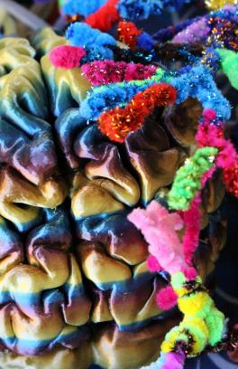 picture of rainbow brain model