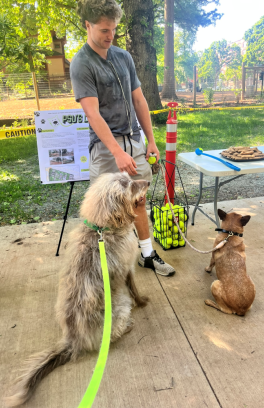 opening party pups