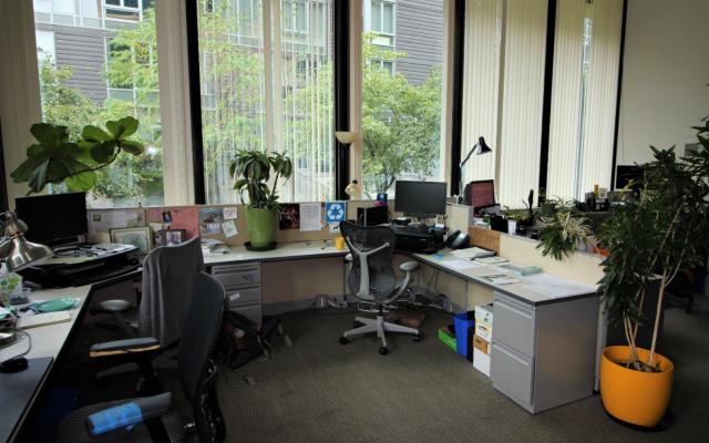 picture of office cubicle with window, two computers, two desk chairs and plants