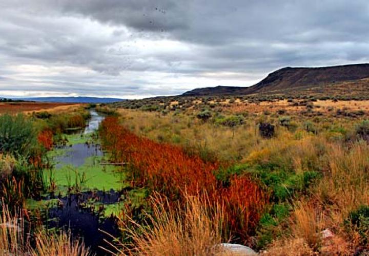 Malheur Wildlife Refuge Harney County Oregon