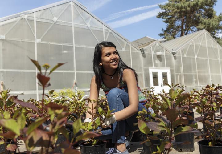 A woman surrounded by plant starts in kneeling down to grab one. She is looking off camera to the right, smiling. Behind her are big greenhouses.