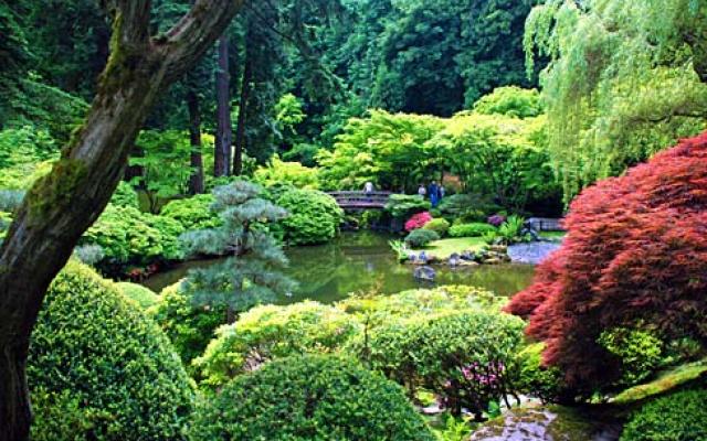 Japanese Garden Portland Oregon