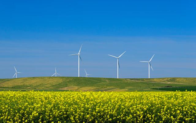 Wind turbines in agricultural field
