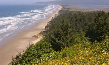 View of the Oregon coast