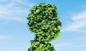 In the foreground is a bush with bright green leaves in the shape of a person, with clear blue sky in the background