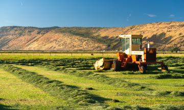 A piece of farm equipment on Algmoa Road