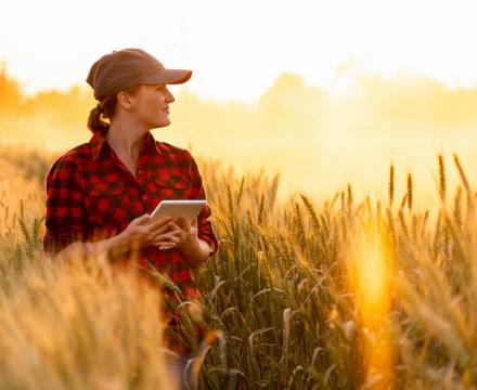 Country woman in wheatfield with tablet in hand