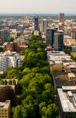 Portland from above