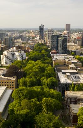 Bird eye view of Downtown Portland 