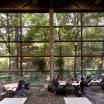 lewis and clark windows to the forest