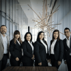 professionals in suits