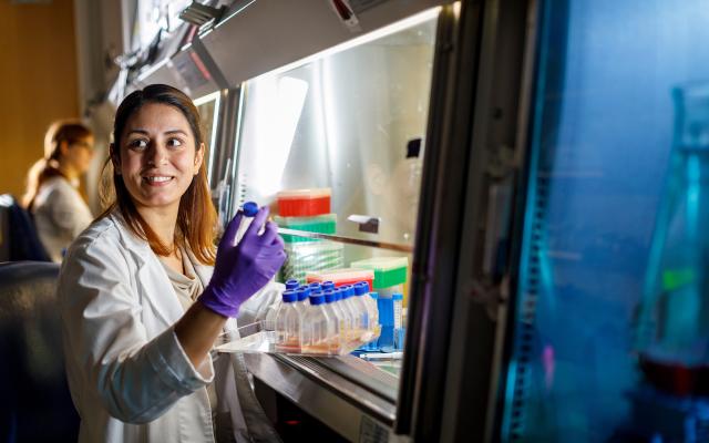 A Portland State University student working in a medical laboratory
