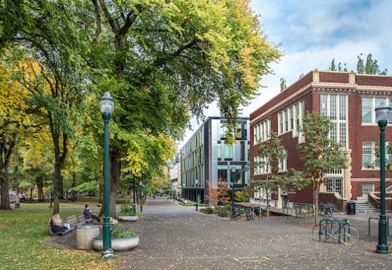 Shattuck Hall Fall