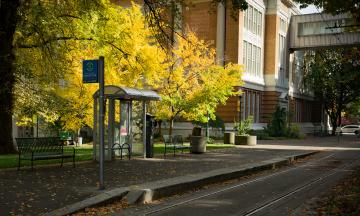 Fall transit stop on campus on the park blocks. 