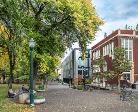 Shattuck Hall Fall