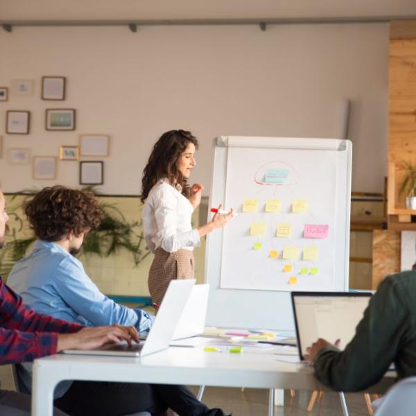 A person giving a presentation to a group of people