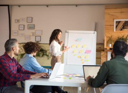 A person giving a presentation to a group of people
