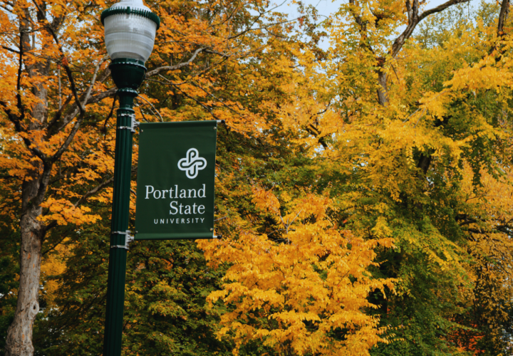 Portland State Fall foliage