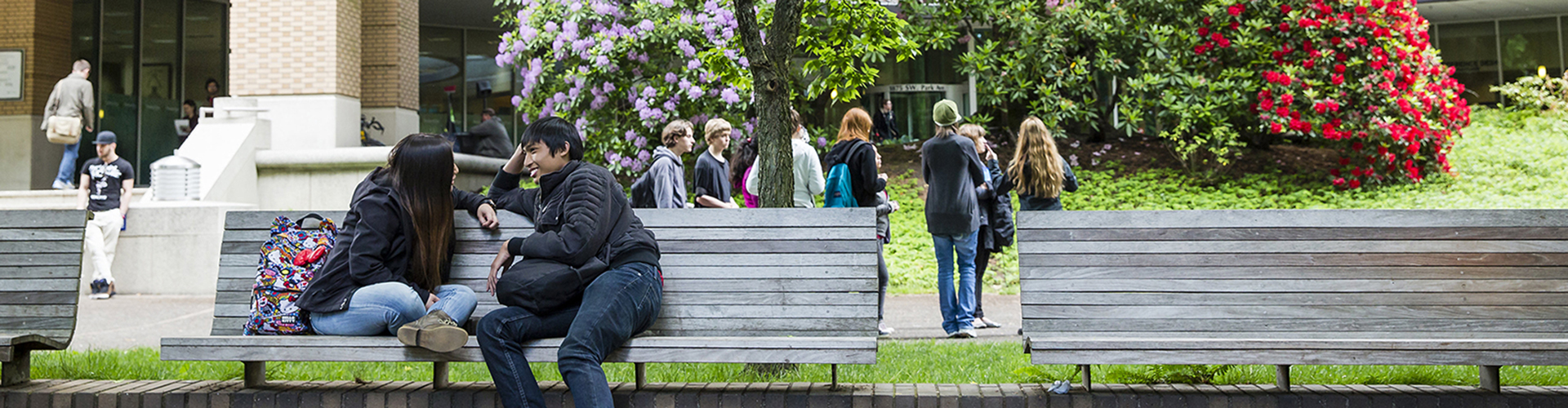 PSU students socializing in the Park Blocks