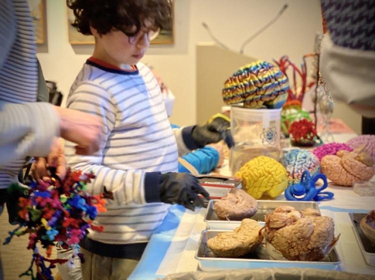 A volunteer holds a model of neurons while a young boy looks at brain pieces in a tray.