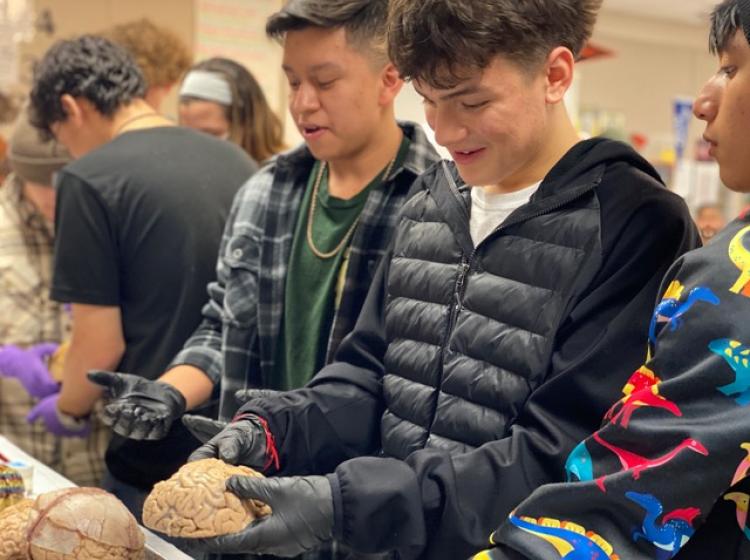 A boy holds a brain in his hands while another looks at brains on a table.